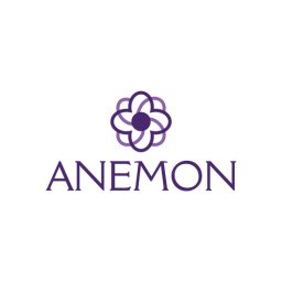 Anemon Atölye